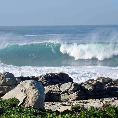 Whales & Waves Vila Hermanus Exterior foto