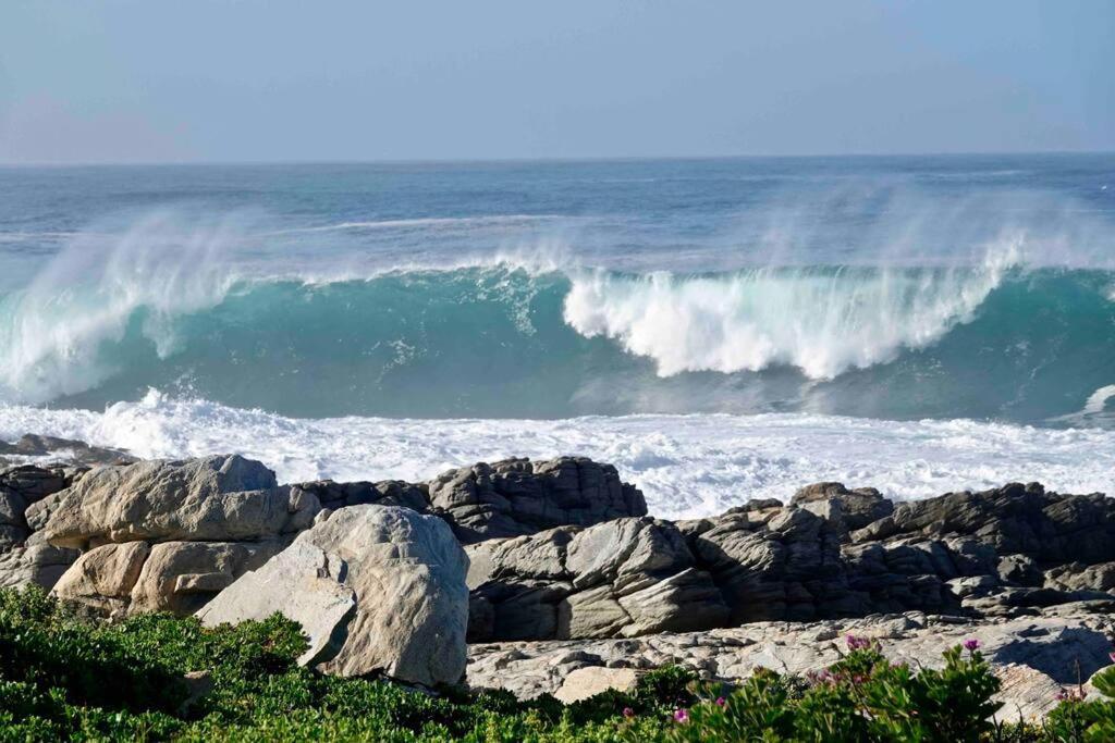 Whales & Waves Vila Hermanus Exterior foto