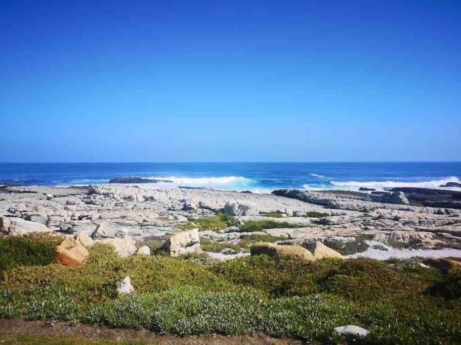 Whales & Waves Vila Hermanus Exterior foto